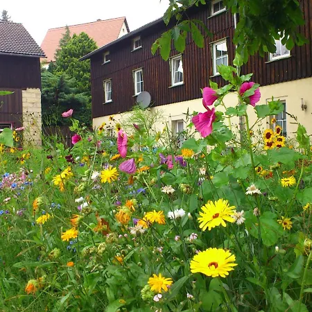 Apartment Charmante In Struppen *