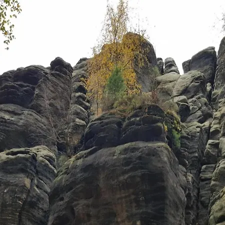 Charmante In Struppen *